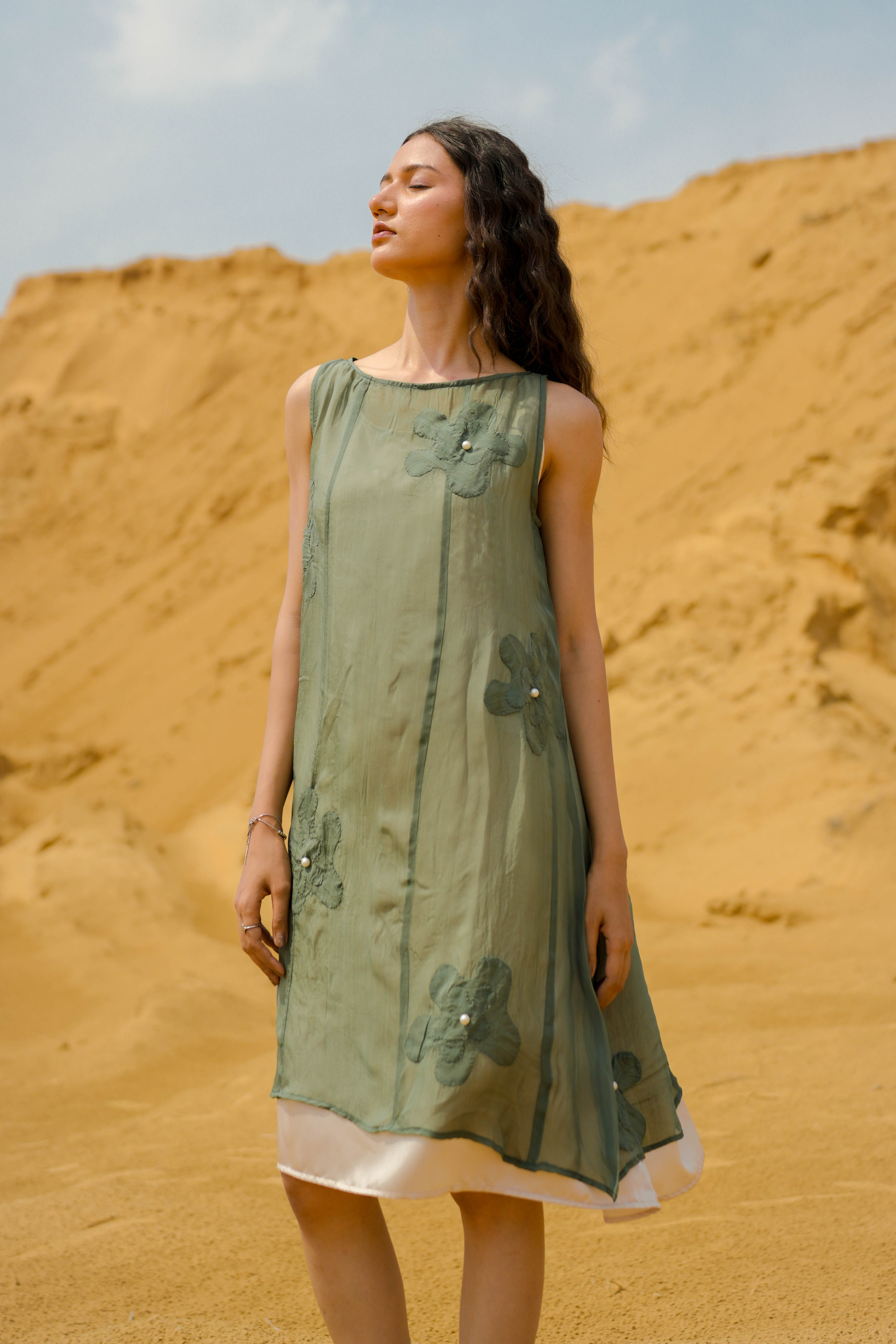 Sheer Dress
