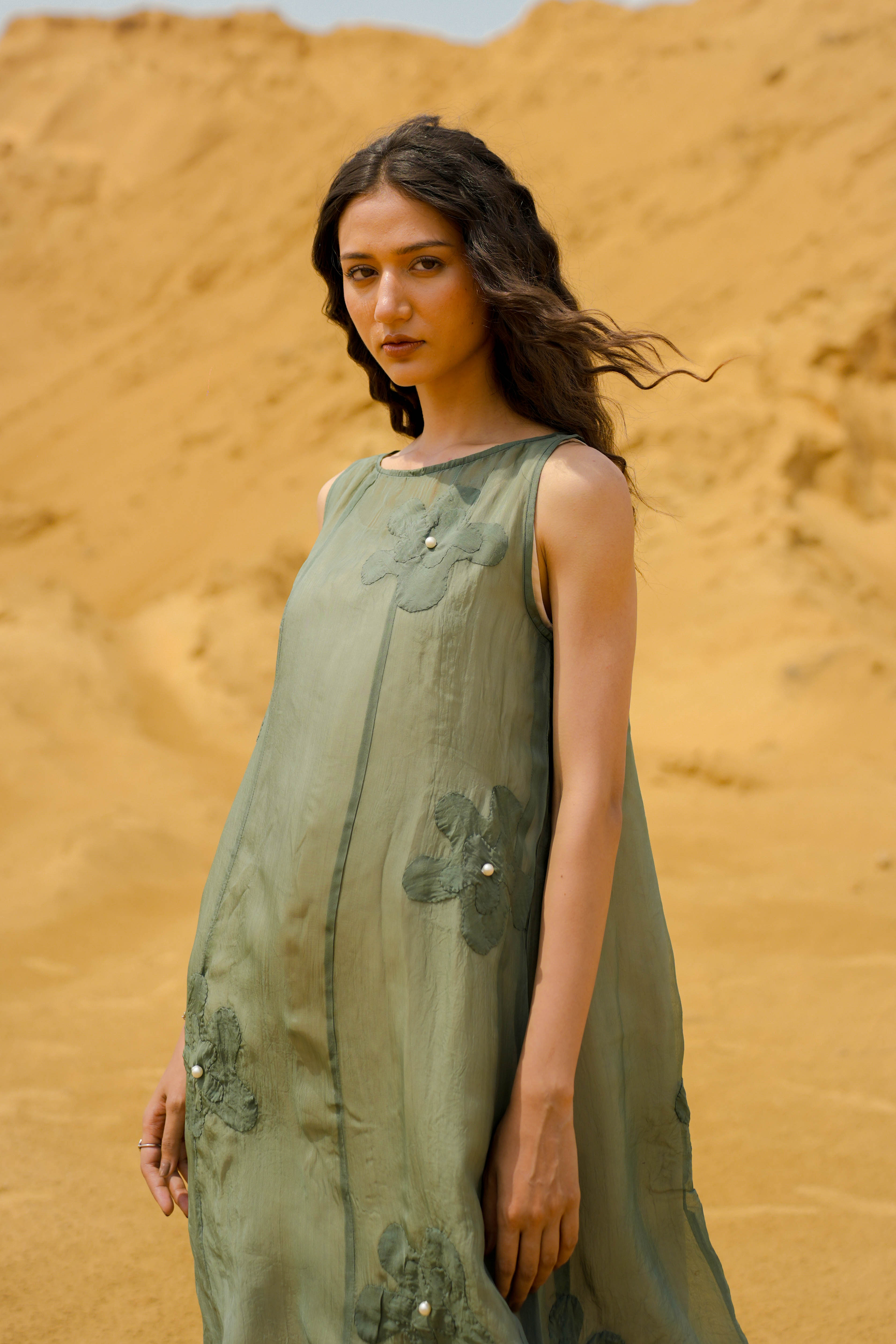 Sheer Dress